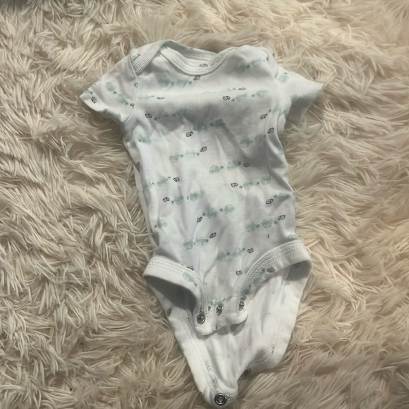 Turtles - Picture 1 of 1